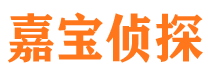 大洼侦探公司